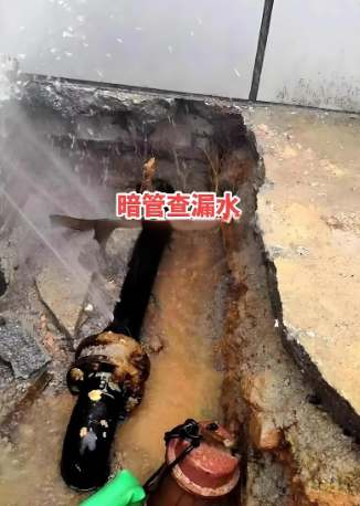 消防水管探漏现场图（示例）